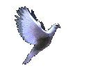 flydove_left.gif (38856 bytes)